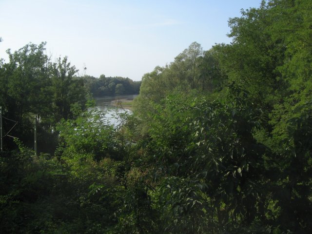 finnek 2011 014